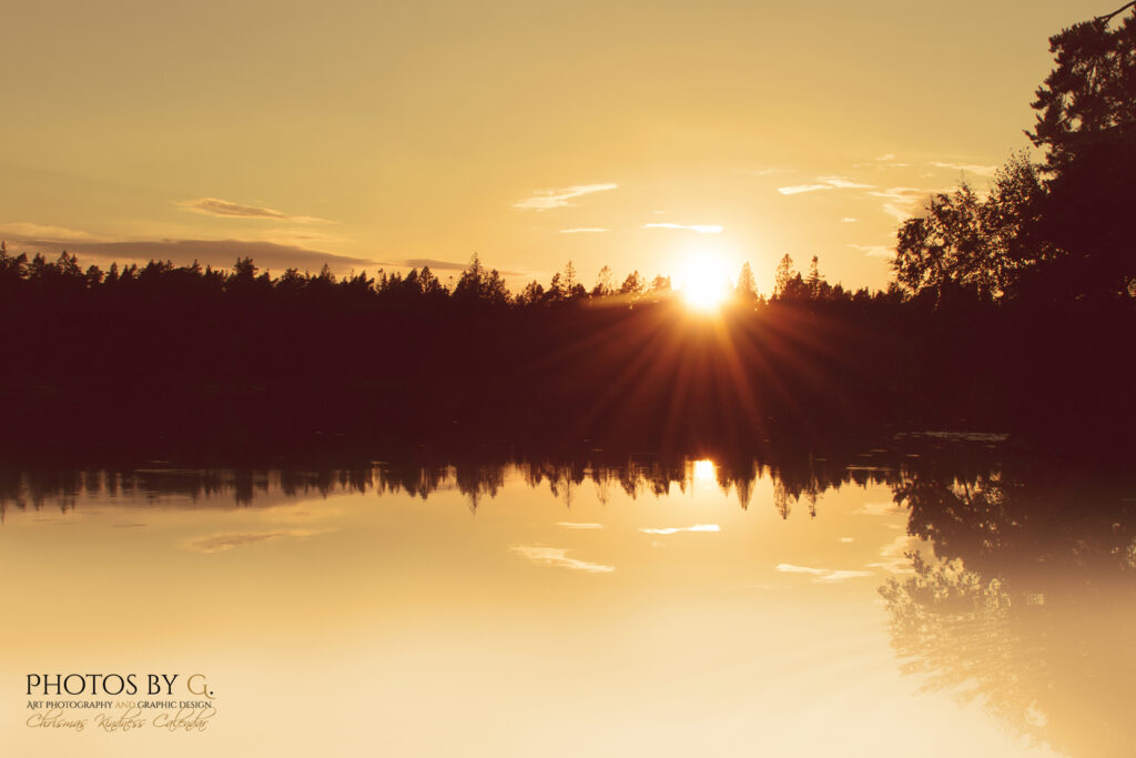 Photos By G. Light up the Winter Darkness